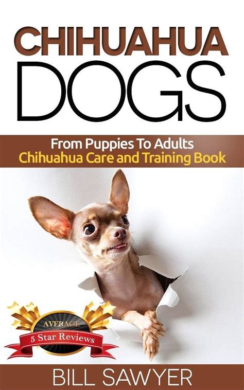 Chihuahua Dogs : From Puppies To Adults Chihuahua Care and Training ...