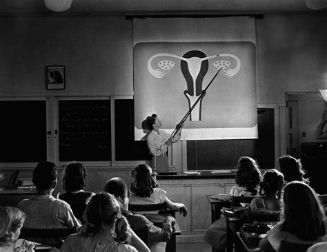 Sex Ed in Schools | POPSUGAR News