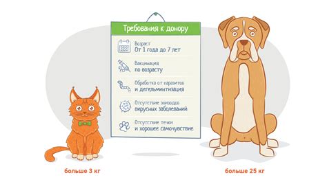 Переливание (донорство) крови у кошек и собак