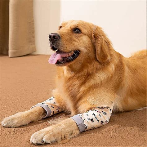 Dog Surgery Recovery Sleeve For Front Legs, Dog Leg Protector, Dog