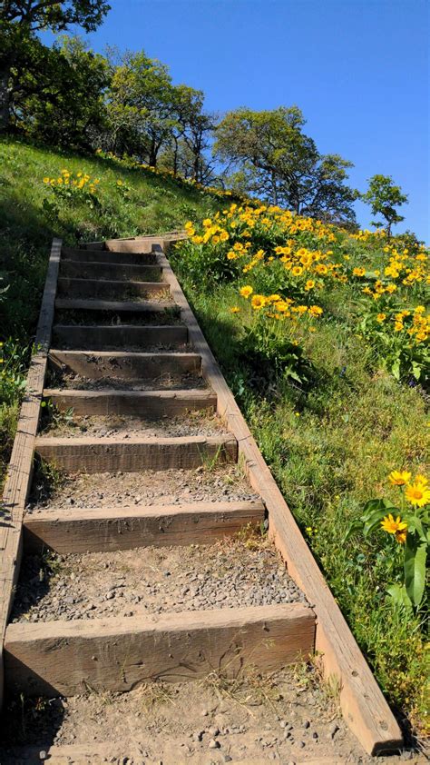 🔥 Cliffs of Moher, Ireland 🔥 : r/Outdoors
