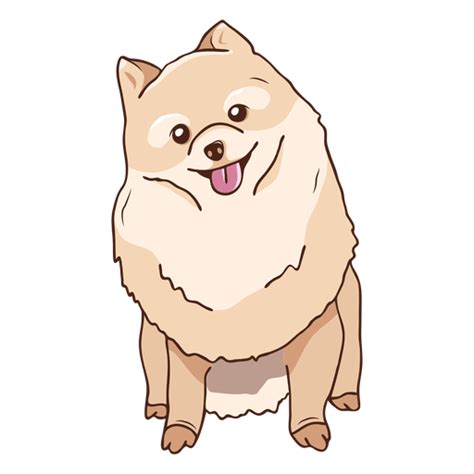 diseno png  svg de ilustracion de perro pomerania sentado  camisetas
