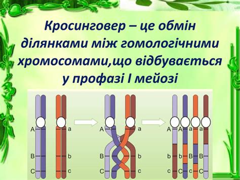 Зчеплене успадкування і кросинговер