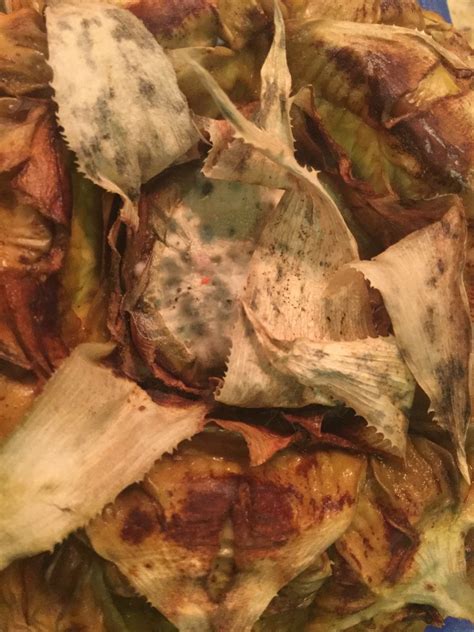 Spots of mold on the bottom of a pineapple?