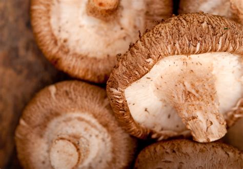 delicious deep dive   top   mushrooms  eat