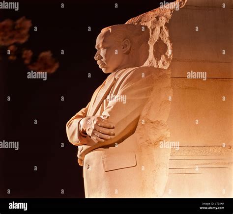 Martin Luther King Jr. Memorial Statue Cherry Blossoms Evening ...