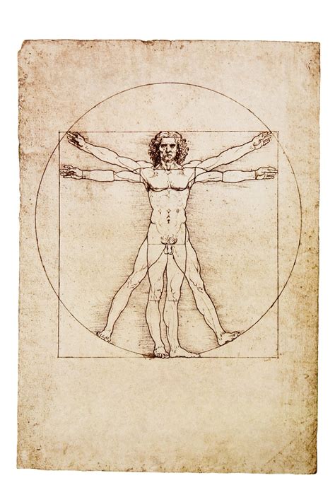 leonardo da vinci  vitruvian man skoda storyboard