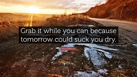 Nora Roberts Quote: “Grab it while you can because tomorrow could suck