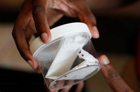 Bed Bug Confidential: An Expert Explains How to Defend against the ...