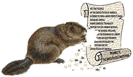 Busy Beaver