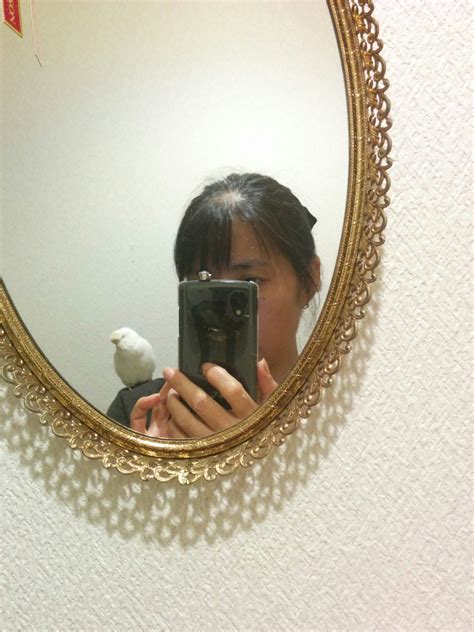 jewel mizuki mekatamurakawa