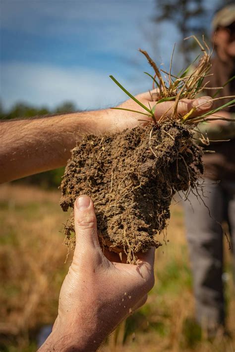 soil health   farm field day  shaw mississippi