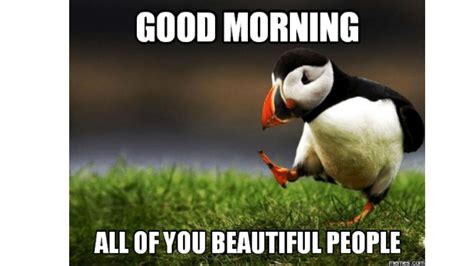 perfectly accurate funny good morning memes  kick start  day