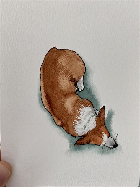 649 best Huckleberry images on Pholder | Aww, Foraging and Earth Porn