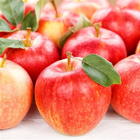 apples apple fruits fruit  leaves square background stock image
