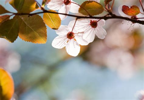 Charities we supported 2022 - George Roberts