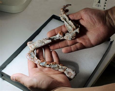 prehistoric reptilian monster  awoke   thousand year