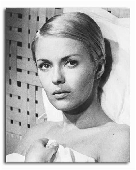 (SS3602300) Movie picture of Jean Seberg buy celebrity photos and