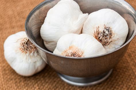 store heads  garlic  samara smalling blog
