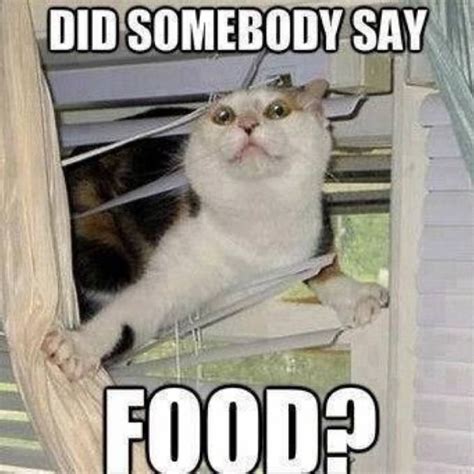 funny  relatable food memes funny pictures