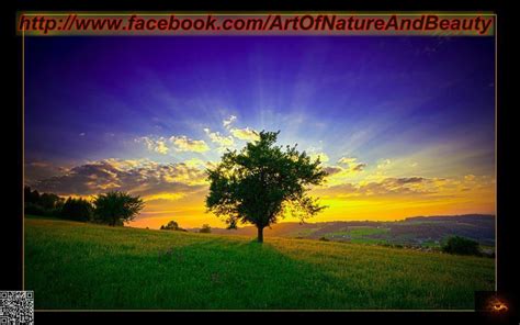posted by captain tarek dreams at 1 : 33 am email this blogthis share ...