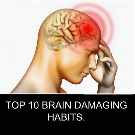 Famous Quotes About The Brain. QuotesGram