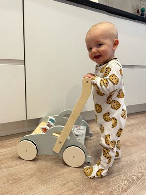 Ходунки Forest kids Каталка Lapala - купить с доставкой по выгодным ...