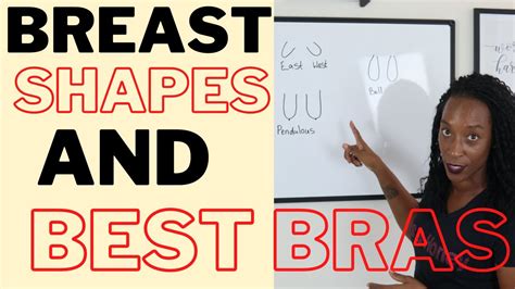 breast sizes  shapes pictures