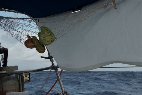 Into the tradewinds - SV Wasa
