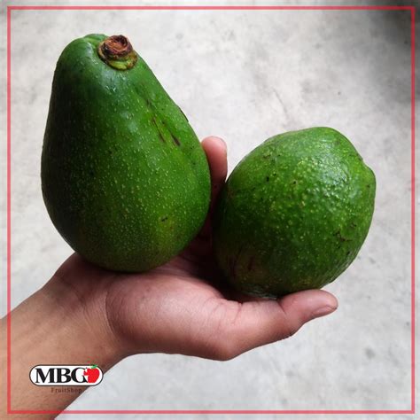 Uganda Fuerte Avocado (L) – MBG Fruit Shop