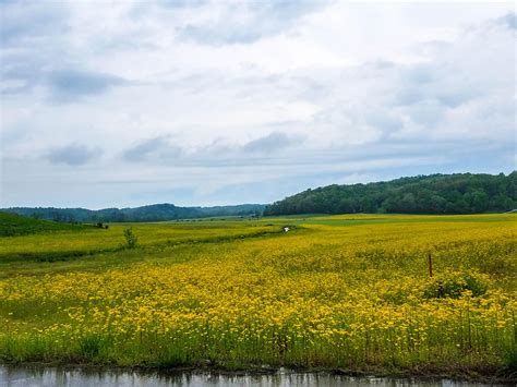 Spring in the Midwest : pics