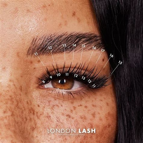 ultimate guide  lash mapping includes  lash maps lashes