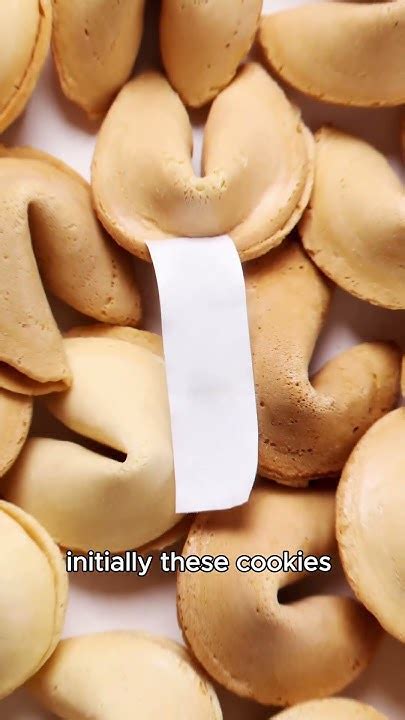 true meaning  fortune cookies youtube