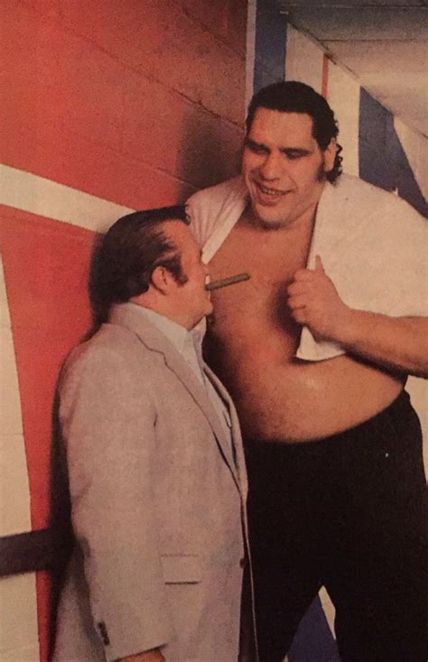 the death of andre the giant 1