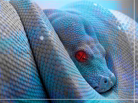 Serpent