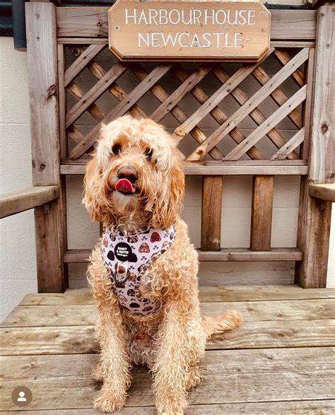 Transit Guide: Reaching Premier Inn Newcastle City Centre 11