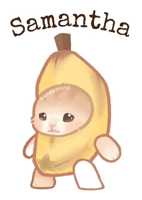 pin  elisa barraza  almohadones kawaii cat drawing cute easy