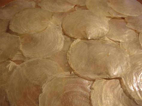 capiz shell wallpapers wallpapersafari