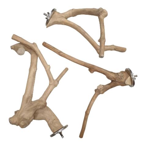 perches queenslander aviaries