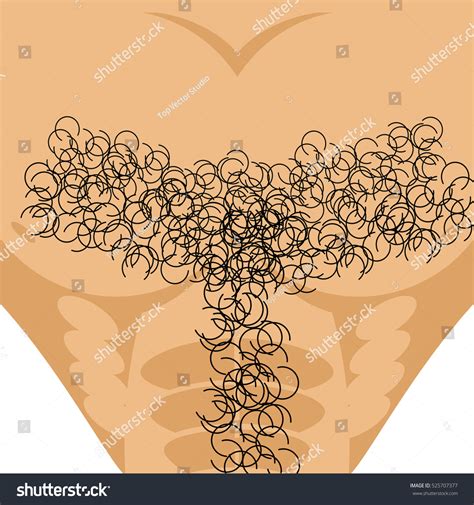56 Male Pubic Hair Stock Vectors, Images & Vector Art | Shutterstock