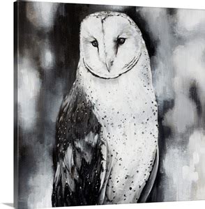 White Owl Wall Art, Canvas Prints, Framed Prints, Wall Peels | Great ...