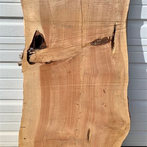Alligator Juniper Slab - Etsy