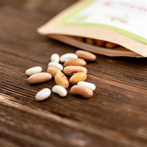 Buschbohnen Mix Samen