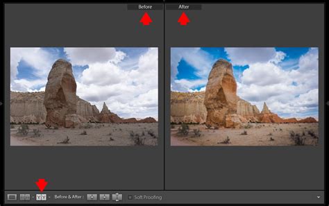 Lightroom Before and After: 7 Ways to Visualize Your Edits • PhotoTraces