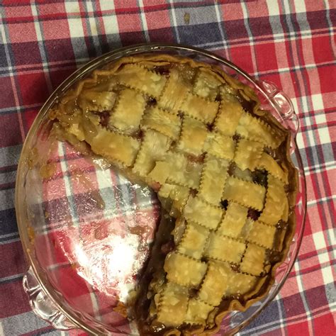 Grandma's Rhubarb Pie Recipe - These Old Cookbooks | Rhubarb recipes