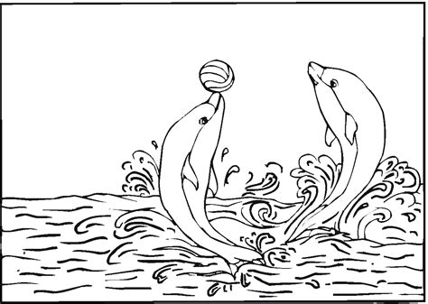Free Printable Dolphin Coloring Pages For Kids