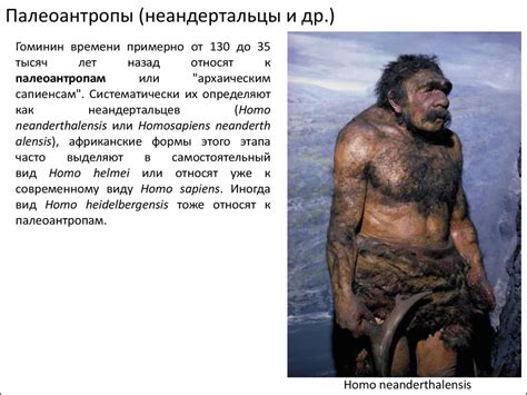 Антропогенез - презентация онлайн
