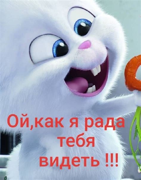 Я рада тебя видеть - красивые картинки (35+ фото) • Бесплатные картинки