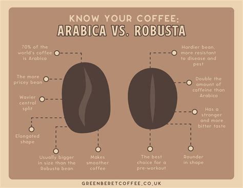 Arabica Vs. Robusta Coffee Beans Comparison