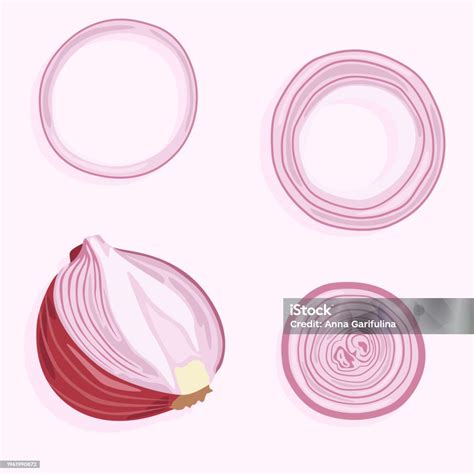 red onion  onion rings stock illustration  image